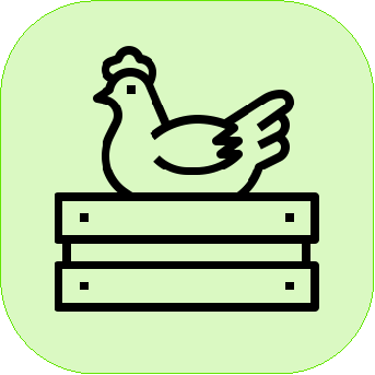 Élevage de poules de ferme icon